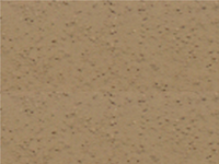 25X Deep Tan Mortar Pigment-Solomon Colors-Atlas Preservation