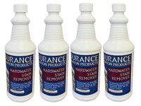 Endurance Hardwater Stain Remover
