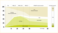 Prompt Natural Cement-Vicat-Atlas Preservation